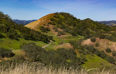 Beautiful open space area next to suburbia