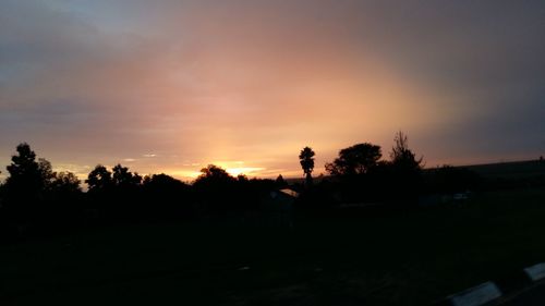 Silhouette of trees at sunset