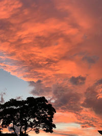 Low angle view of silhouette trees against dramatic sky