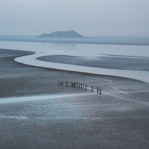 High angle view of people on landscape