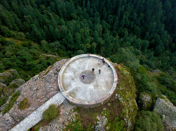 High angle view of stone wall amidst trees in forest