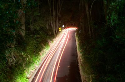 Light trails on road amidst trees in forest