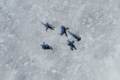 Aerial view of group of female ice-skaters lying together on surface of frozen lake