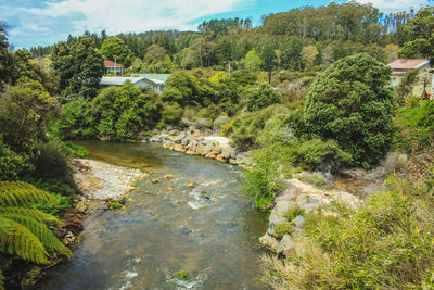 Scenic view of river amidst trees and buildings