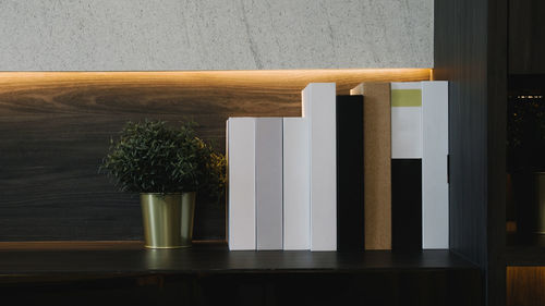 Close-up of potted plant on table against wall