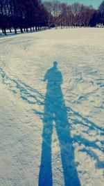 Shadow of person on field during winter