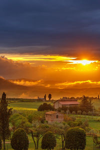 Scenic view of field against sky during sunset