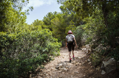 Full length rear view of woman walking in forest