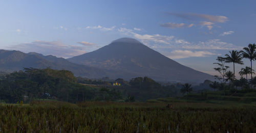 Sumbing mountain