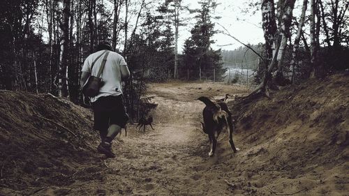 Rear view of woman with dog walking on street