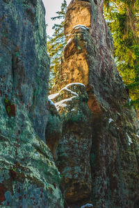 Low angle view of tree trunk against sky