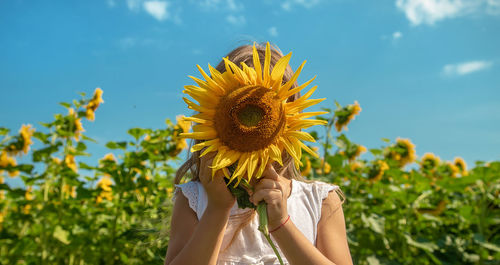 Cute girl holding sunflower in front of face