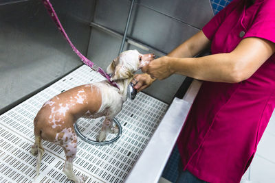 Midsection of man with dog