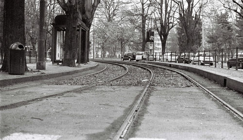 Railroad tracks amidst bare trees