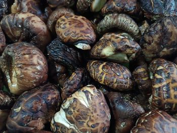 Full frame shot of onions for sale at market stall