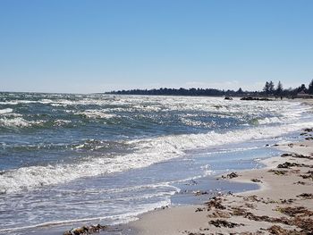 Scenic view of beach