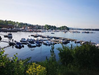 Boats moored in harbor