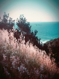 Scenic view of sea against clear sky