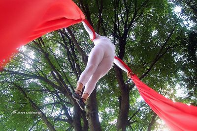 Low angle view of woman hanging on tree trunk in forest