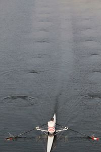 Rear view of man on boat in sea