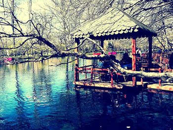 Bare tree by lake against building