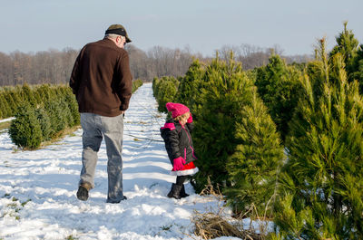 Family searching for the perfect tree at a michigan tree farm