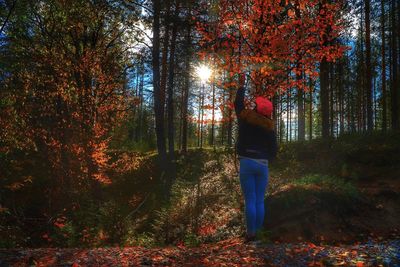 Rear view of person standing by trees in forest during autumn