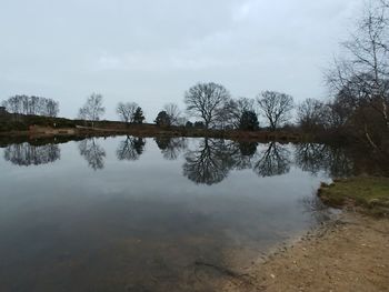 Reflection of trees in lake against sky