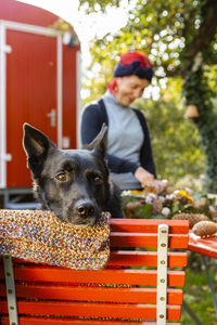 Portrait of black dog in the garden with owner in the background