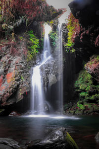 Scenic view of waterfall in forest