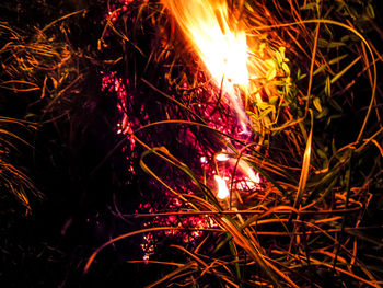Close-up of illuminated bonfire at night