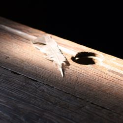 Close-up of boardwalk