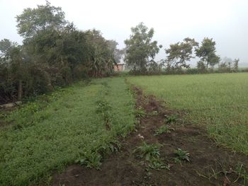 Scenic view of farm against sky