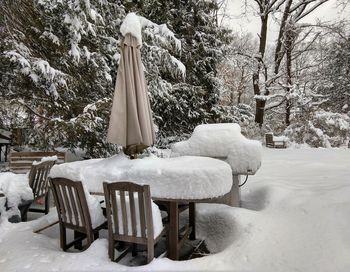 Snow covered table by trees in park during winter