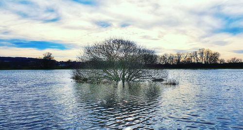 Scenic view of lake against sky