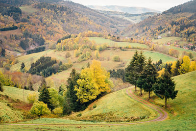 Scenic view of rural landscape