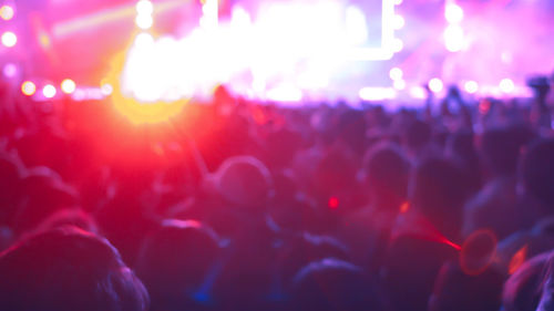 Group of people at music concert