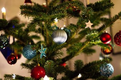 Close-up of christmas decoration hanging on tree