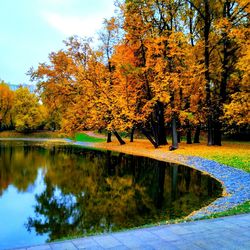 Scenic view of lake by trees during autumn