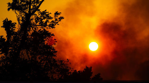 Low angle view of silhouette tree against orange sky