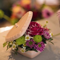 Close-up of pink flowering plant on table