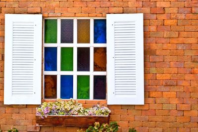 Flowers by window