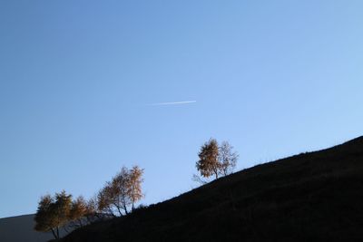 Low angle view of silhouette trees against clear blue sky