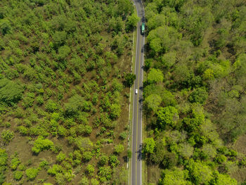 Aerial shot of road between the forests in national park situbondo, east java