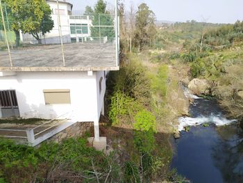 Plants growing by building