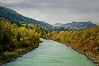 Scenic view of river amidst trees against sky