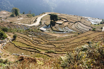 High angle view of rice field against sky