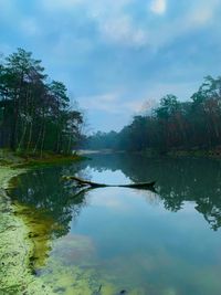 Scenic view of lake against sky