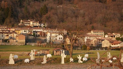 Flock of townscape