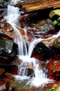 Scenic view of waterfall